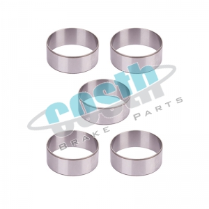 Caliper Bearing Outer Race Set 60-2243